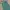 Dickies 874 Skateboarding Lincoln Green photo 4