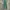 Dickies 874 Skateboarding Lincoln Green photo 1