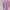 Muslim Maxi Dress Wanita Purple Pink