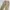 Champion Long Pants Cargo Slim Straight Fit Pants Relaxed photo 6