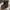 Adidas Yeezy 950 Boots 2015 Size 42,5 photo 1