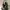 Burberry Vintage Y2K Handbag Wanita black gray photo 3