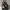 Burberry Vintage Y2K Handbag Wanita black gray photo 4
