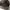 Burberry Vintage Y2K Handbag Wanita black gray photo 6