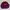DARE Double Collar Crewneck Maroon