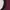 DARE Double Collar Crewneck Maroon photo 3