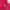 Adidas Sportswear Track jacket Wanita pink photo 4