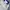 Porter James Sports Vintage Sportswear Windbreaker Pria White Blue