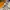 CONVERSE® CTAS 70’s Hi Woven photo 8