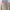 Beige Pink Blouse photo 3