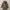 BALMAIN Paris Puffer Coat Jacket Women BNWT photo 2