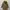 BALMAIN Paris Puffer Coat Jacket Women BNWT