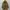 BALMAIN Paris Puffer Coat Jacket Women BNWT photo 1