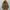 BALMAIN Paris Puffer Coat Jacket Women BNWT