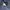 Adidas Casual Short Pria navy photo 5