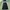 jiniso BAGGY JEANS FULL BLACK  photo 1