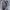 Celana Vintage G star Raw Original photo 2