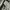 Jeans Scotch & Soda Amsterdam Blauw Original  photo 4