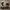 Shoes Vans(Check) Black/True White Size EUR 39