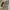 Celana Bahan Jas Kantor Khaki Lokal brand photo 2