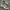 New Balance Streetwear Casual Sneakers Pria Gray