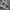 New Balance Streetwear Casual Sneakers Pria Gray
