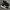 Adidas Streetwear Casual Sneakers Pria white black photo 1