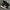 Adidas Streetwear Casual Sneakers Pria White Black