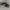 Adidas Streetwear Casual Sneakers Pria white black photo 5
