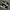 Adidas Streetwear Casual Sneakers Pria white black photo 2