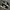 Adidas Streetwear Casual Sneakers Pria White Black