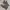 Nike Streetwear Casual Sneakers Pria black photo 4