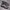 Nike Streetwear Casual Sneakers Pria black photo 2