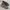 Nike Streetwear Casual Sneakers Pria black photo 1