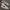 Nike Streetwear Casual Sneakers Pria white black photo 1