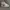 Nike Streetwear Casual Sneakers Pria white black photo 5