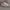 Nike Streetwear Casual Sneakers Pria tan brown photo 5