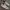 Nike Streetwear Casual Sneakers Pria tan brown photo 1