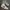 Nike Streetwear Casual Sneakers Pria green white photo 1