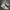 Nike Streetwear Casual Sneakers Pria Green White