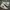 Nike Streetwear Casual Sneakers Pria green white photo 2