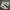 Nike Streetwear Casual Sneakers Pria Green White
