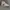 Nike Streetwear Casual Sneakers Pria green white photo 5