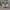 Nike Streetwear Casual Sneakers Pria green white photo 6