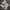 Nike Streetwear Casual Sneakers Pria green white photo 3