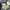 Lovito croptop sage green photo 1