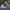 Adidas Streetwear Sportswear Sneakers Wanita navy black photo 3