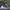 Adidas Streetwear Sportswear Sneakers Wanita Navy Black