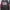 Crewneck MSGM photo 2