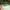 Converse Casual Sneakers Pria Green